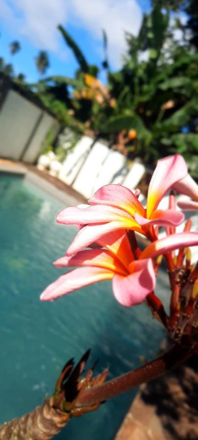 Guesthouse The 4 Fish Manado Dış mekan fotoğraf